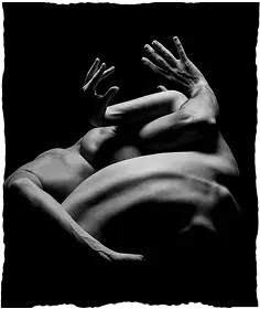 Image du travail de Tony Noël